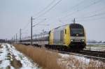 ER 20-015 der NOB fhrt am 19.2.11 mit der NOB 81706 nach Westerland (Sylt) bei Borsfleth durch die Landschaft.