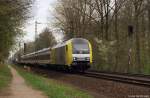 ER 20-011 dieselt am 16.4.11 mit der NOB 81758 nach Westerland (Sylt) durch den Prisdorfer Wald.
