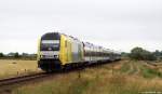 ER 20-015 rollt am 5.7.11 mit der NOB 81748 nach Westerland (Sylt) bei Morsum durch die Felder.