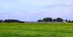 Mit der NOB nach Westerland (Sylt) fuhr ER 20-014/223 014-2 am 19.7.13 bei Wilster durch die Felder.
