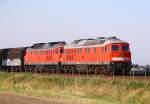 Nahaufnahme 232 669 und 388, Niebll, 22.07.14