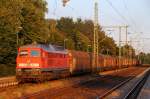 DB 1232 384-8 mit EZ/GD 47420 nach Esbjerg bei der Durchfahrt in Schleswig. 23.07.14