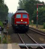 Aus dem Schatten des Waldes kommt mit lautem Getöse die 1 232 703-9 mit einem Gz Richtung Niebüll durch Langenhorn gedieselt. 31.07.14 