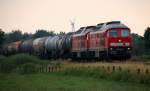 Doppel-Pack...1 232 534-8 und 908-4 mit dem abendlichen EZ/GD 47417 aus Husum passiert hier die Einfahrt nach Jübek. 31.07.14