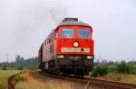Die Tochter wollte auch mal...1 232 469-7 kam schön langsam aus Jübek auf die Strecke nach Husum gefahren und bot so ein recht ansehnliches Motiv. Jübek Bü Jyderupweg 31.07.2014