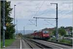 Die DB 245 006 fährt mit ihrem IRE von Stuttgart nach Lindau Insel ohne Halt duch Enzisweiler. Zwar hängen schon die Fahrleitungen, aber noch wird die Strecke Lindau - Friedrichshafen mit Dieselfahrzeugen betrieben.

14. Aug. 2021
