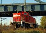 295 090-5 dieselte gemtlich an uns vorbei. HH 30.9.11