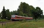 628 290/928 290 & 628 220/928 220 & 628 316/928 316 dieseln am 19.6.12 als RE nach Kiel Hbf. bei Behl durch die Landschaft.