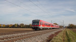 628 572-0 war mit 628 556-3 am Vormittag des 1. November 2016 von Mühldorf nach München Hbf unterwegs und wurde zwischen Grub und Heimstetten abgelichtet.
