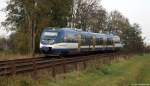 VT 729 der NOB dieselt am 29.10.11 als NOB 81773 nach Itzehoe bei Wilster an mir vorbei.