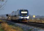 VT 728 der NOB dieselt am Morgen des 12.11.11 als NOB 81767 nach Itzehoe bei Meldorf durch die Felder.