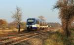 VT 728 der NOB dieselt am 12.11.11 als NOB nach Heide (Holst.) bei St. Michaelisdonn durch die Landschaft.