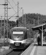 Da dieselt er los der VT 730 der NOB Richtung Husum....Schleswig 01.07.10