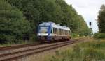 NOB´s VT 304 fhrt am 13.8.11 als NOB 81780 nach Heide (Holst.) soeben aus dem Ort Burg (Dithmarschen) ab und strebt weiter gen Norden. Viele Gre an den Tf, danke fr das Fernlicht und das Makro !!