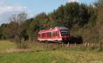648 457/957 dieselt am 8.10.11 als RB 72921 nach Kiel Hbf. bei Bredenbek weiter gen Landeshauptstadt.