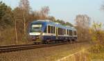 VT 308 der NOB dieselt am 12.11.11 als NOB 81769 nach Itzehoe bei Meldorf durch die Landschaft.