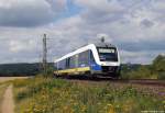 648 187/687 der NWB fhrt am 11.8.12 als NWB nach Hameln bei Burgstemmen durch die Landschaft.