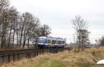 VT 302 der NOB fuhr am 5.4.13 als NOB nach Itzehoe bei Wilster durch die Landschaft.