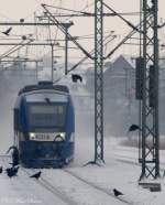 NOB VT 305-0648 365/865, Schleswig 14.02.2010(343)