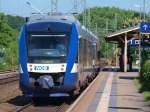 Lint 41 Doppeltraktion(VT 303 und VT 307) der NOB am 4.6.2010 in Schleswig