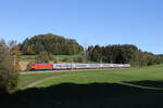 101 075 mit dem  IC Knigssee  aus Freilassing kommend am 9. Oktober 2024 bei Axdorf.