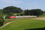 101 100 mit dem  IC Knigssee  aus Freilassing kommend am 13. Juni 2025 bei Vachendorf.