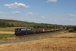 110 262 war am 4. August 2022 mit dem  Henkelzug  bei Winterhausen in Richtung Wrzburg unterwegs.