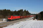 185 209 mit einem leeren Autozug am 24.