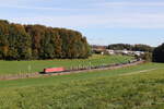 185 274 war am 12. Oktober 2024 mit einem gemischten Gterzug bei Axdorf in Richtung Mnchen unterwegs.