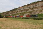 193 872 mit einem Containerzug am 5.