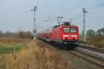 114 005 mit einem RE nach Elsterwerda passiert den Fotografen am 01.11.2009 in Sildemow.
