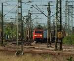 152 113-7 versteckt sich mit ihrem Containerzug zwischen den vielen Masten...HH 01.06.11