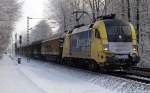 ES 64 U2-003/182 503-3 rollt am 20.12.10 mit einem kurzen Gz durch den Prisdorfer Wald.