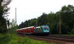 Mit dem RE1 nach Frankfurt (Oder) fuhr 182 013-3 am 8.6.13 bei Fangschleuse durch den Wald.
