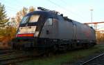 MRCE/TXL 182 529-8 abgestellt in Padborg. 08.11.2013(Bild 3)