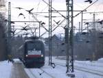 Leise und vllig berraschend kam der Taurus 182 572-8 oder ES 64 U2-072 mit dem IC Leerzug aus Hamburg durch Schleswig geschlichen, so leise das selbst die  Vgel  erst im letzten Moment nen Abflug machten...