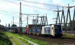183 704 rollte am 17.9.13 mit einem bunten Containerzug durch Waltershof.