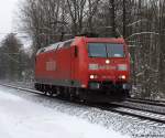 185 182-3 poltert am 29.12.10 solo durch den Prisdorfer Wald gen Norden.