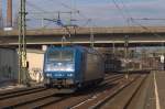 185 530-3 der Verkehrsbetriebe Peine Salzgitter auf dem Weg in den Hamburger Hafen um dort ihrem Zug ab zu holen. 26.2.11