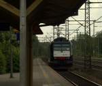185 554-3 unterwegs im Auftrag der CFL Cargo fuhr frisch geputzt mit hohem Tempo durch Schleswig. 24.5.11