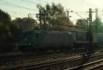 185 614-5 mal in ganz anderem Licht fotografiert....Harburg 15.10.11
