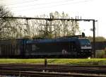 185 556-8 rollt hier mit dem Papierzug in Padborger Bahnhof. 6.10.11