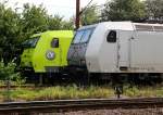 TXL 185 538-6 und CFL Cargo 185 534-5, Padborg, 31.08.12