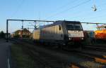 TXL 185 407-4 rumpelt hier am frhen Morgen des 8.6.13 stromlos durch den Bhf Padborg.
