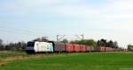 185 696-2 fuhr am 29.3.14 mit einem Güterzug bei Neuss Allerheiligen durch die Felder und Wiesen.