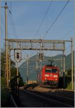 Am Abend, begleitet von den letzten Sonnenstrahlen erreichen zwei DB 185 die schon im Schatten liegende Haltestelle Lugano Paradiso.