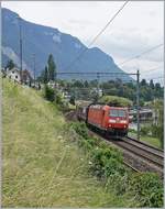 Neuerdings befördert eine DB 185 den Novelis-Güterzug, hier die DB 185 134-4 kurz nach Villenveuve auf der Fahrt nach Göttingen.

15. Juli 2020 