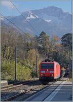 Bei der nicht ganz erfolgreichen Suche nach letzten Herbstboten kam ich zu diesem Bild: Bie Burier ist die DB 185 135-1 mit dem Novelis Güterzug von Sierre nach Göttingen unterwegs, im Hintergrund ist der Rochers de Naye zu sehen. 

23. November 2023