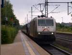 Kleine berraschung am Mittwochmorgen, TX Logistik 185 531-1 durchfuhr Schleswig mit einen nagelneuen IC4 der DSB im Schlepp. 11.8.10