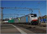 Eine Railpol 186 106 mit einer BLS 485 mit einem Güterzug bei der Durchfahrt in Thun.
29. Okt. 2016